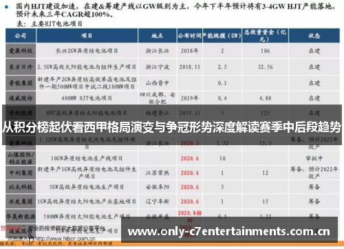 从积分榜起伏看西甲格局演变与争冠形势深度解读赛季中后段趋势